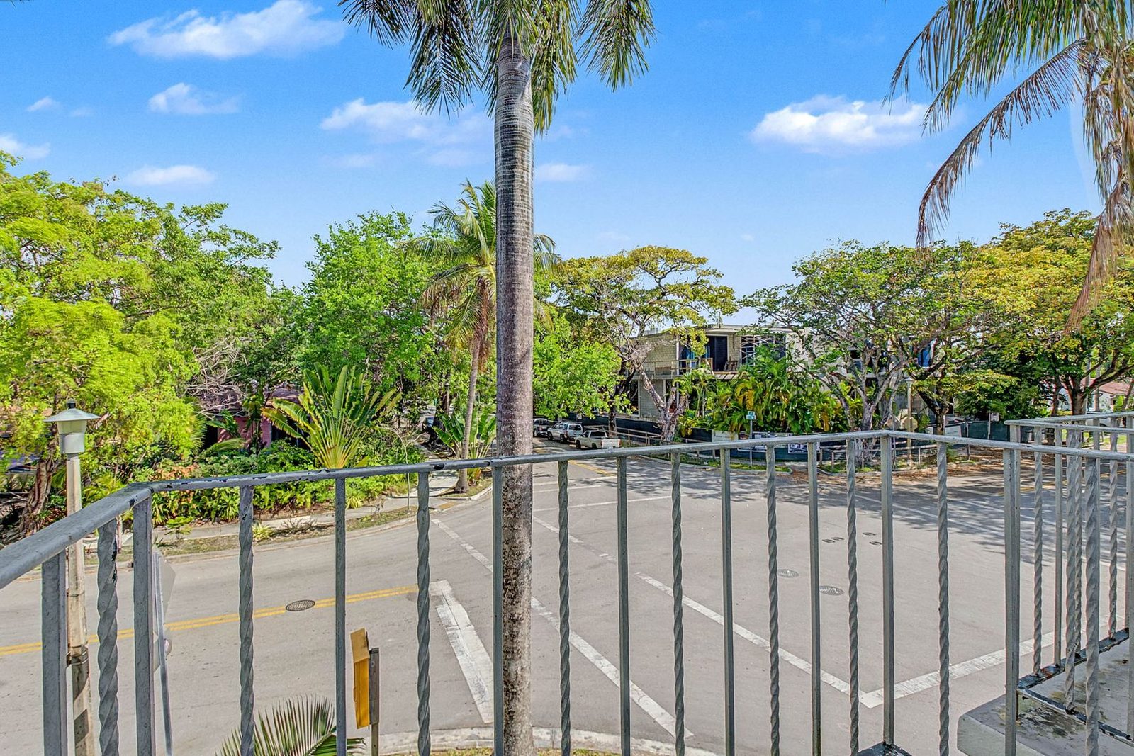 Private terrace with palm and neighborhood views
